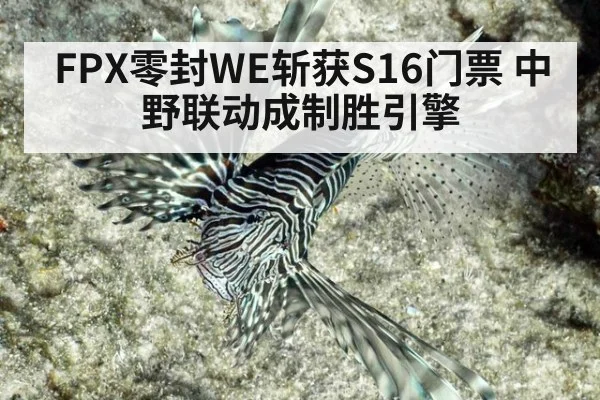 FPX零封WE斩获S16门票 中野联动成制胜引擎