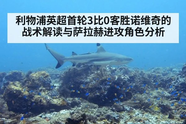 利物浦英超首轮3比0客胜诺维奇的战术解读与萨拉赫进攻角色分析